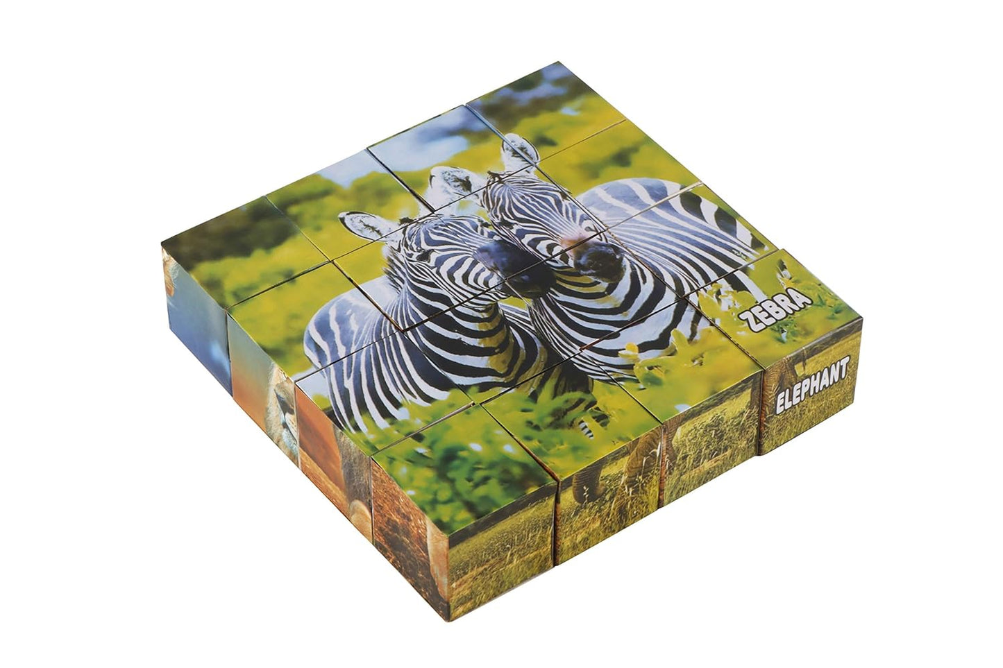 ZEBRA PICTURE BLOCKS